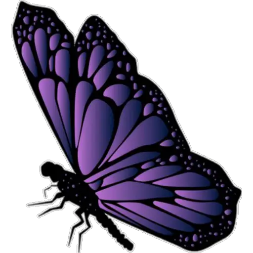 🦋MARIPOSAS BONITAS🦋  preview