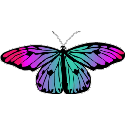 🦋MARIPOSAS BONITAS🦋 