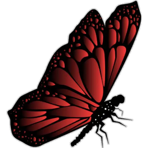 🦋MARIPOSAS BONITAS🦋 