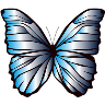 🦋MARIPOSAS BONITAS🦋 