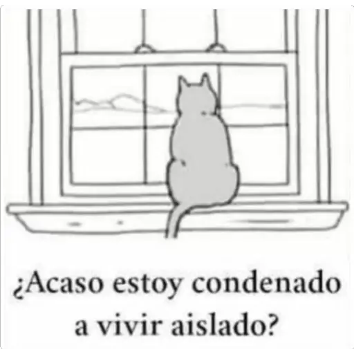 Secuencias Graciosas 5