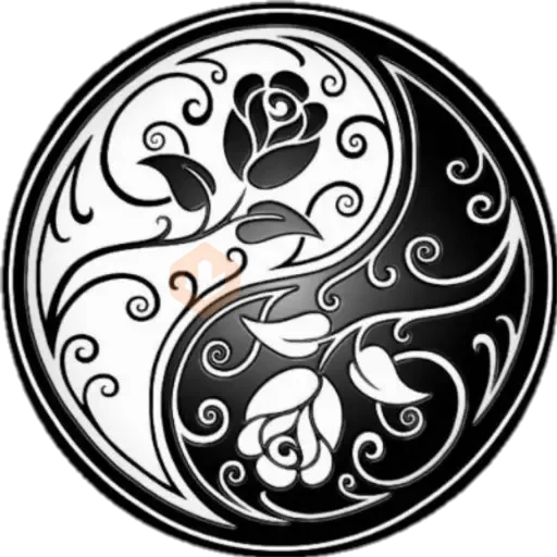 ☯️yin y el yang⚪⚫ sticker 20