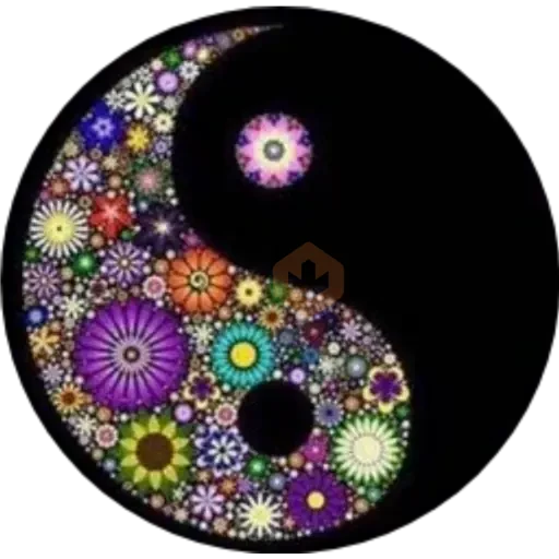 ☯️yin y el yang⚪⚫ sticker 22