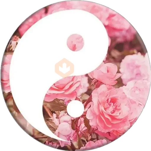 ☯️yin y el yang⚪⚫ sticker 15