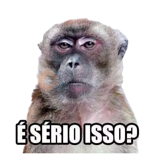 Memes Frases 7 sticker 18