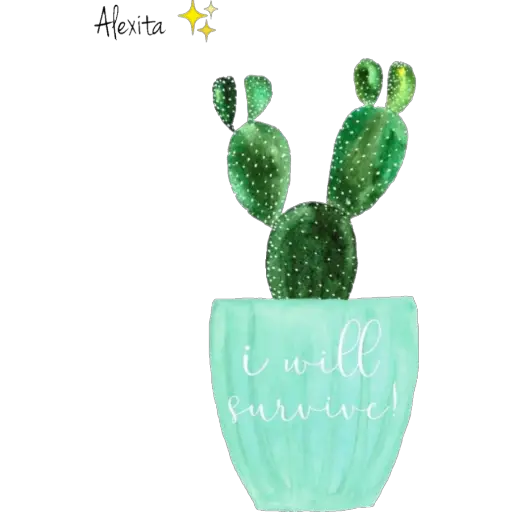 Cactus 🌵  preview
