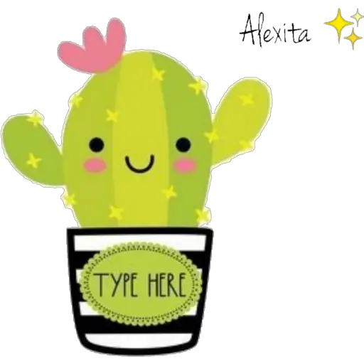 Cactus 🌵 