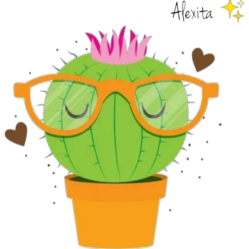 Cactus 🌵 