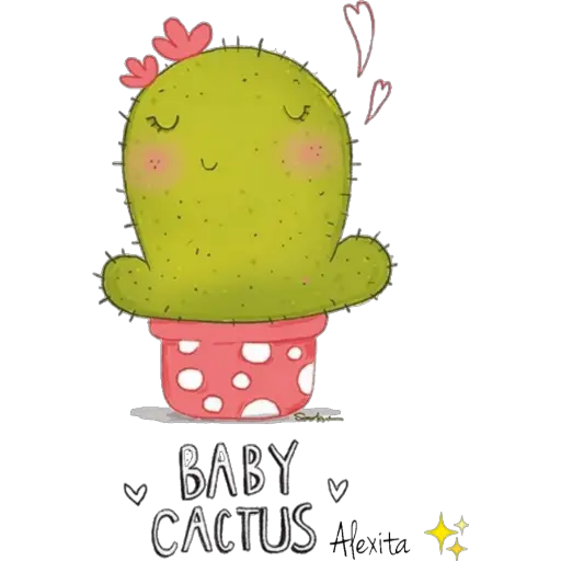 Cactus 🌵 