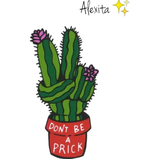 Cactus 🌵 