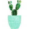 Cactus 🌵 