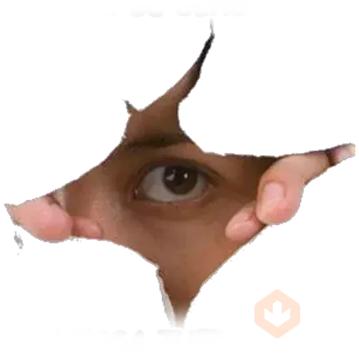 MEME 1 sticker 16