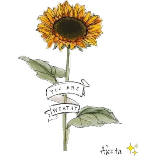 Girasoles ✨🌻 