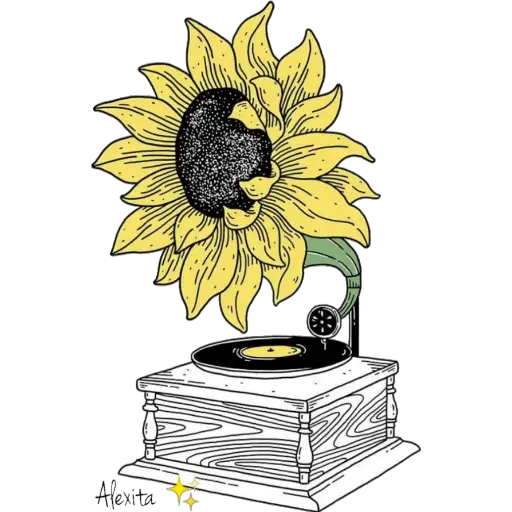 Girasoles ✨🌻 