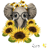 Girasoles ✨🌻 
