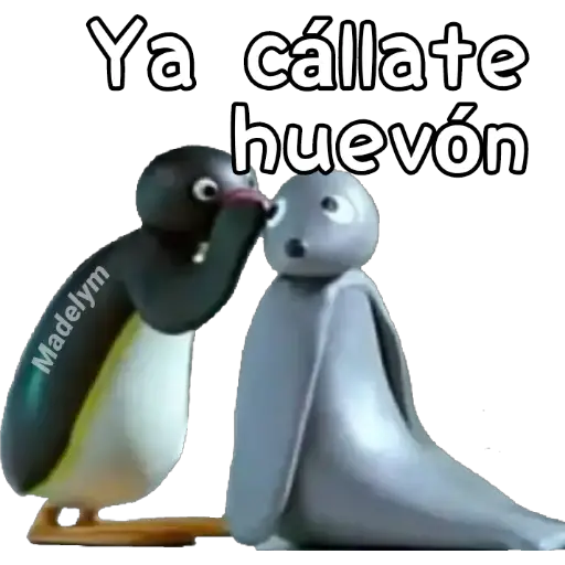 🐧Pingu tengo algo qué decirte 
