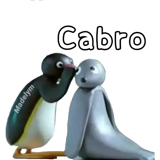 🐧Pingu tengo algo qué decirte 