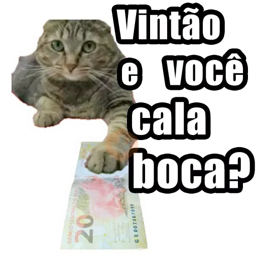 Memes Frases sticker 14