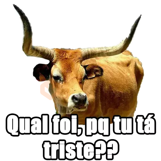 Memes Frases 5 sticker 12