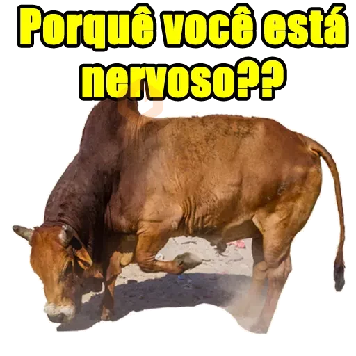 Memes Frases 5 sticker 18