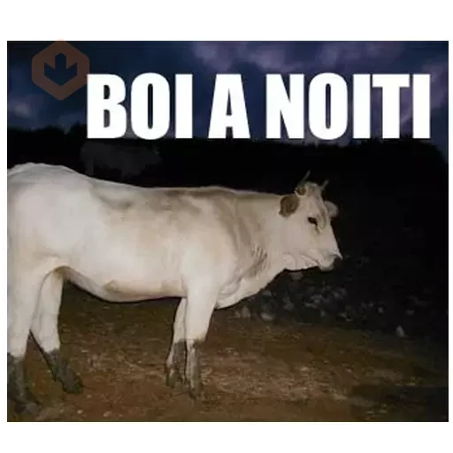 Memes Frases 5 sticker 19
