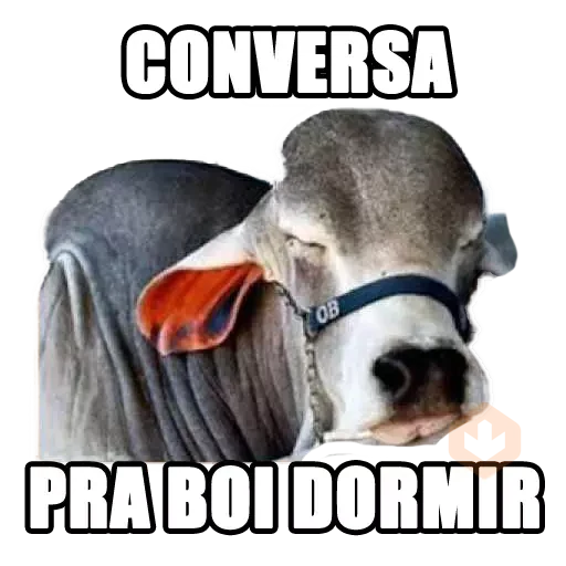 Memes Frases 5 sticker 17