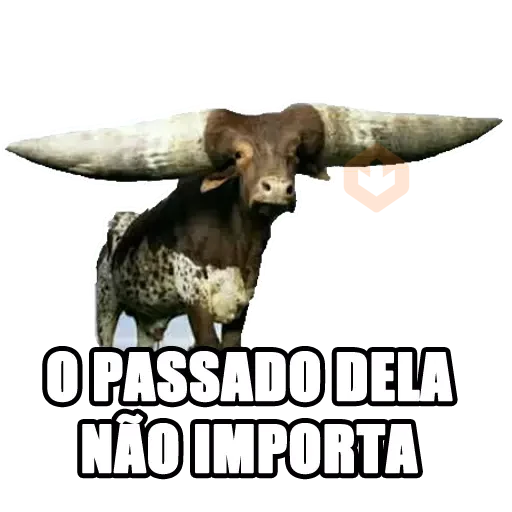 Memes Frases 5 sticker 15