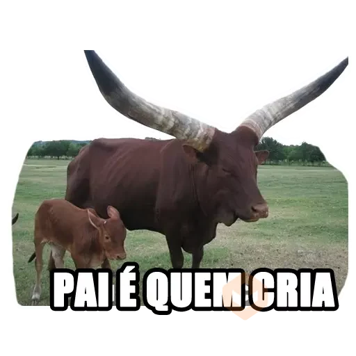 Memes Frases 5 sticker 13