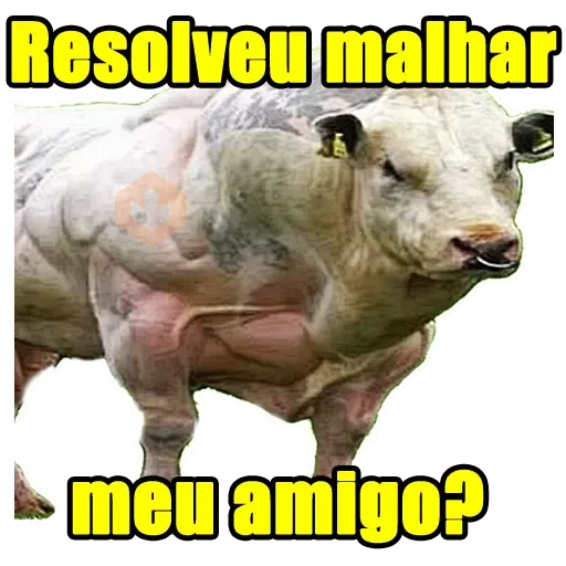 Memes Frases 5 sticker 14