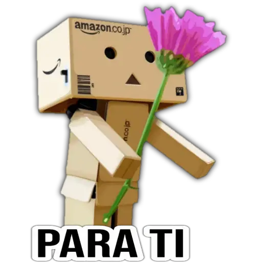 Cajita Amazon 