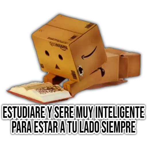 Cajita Amazon 