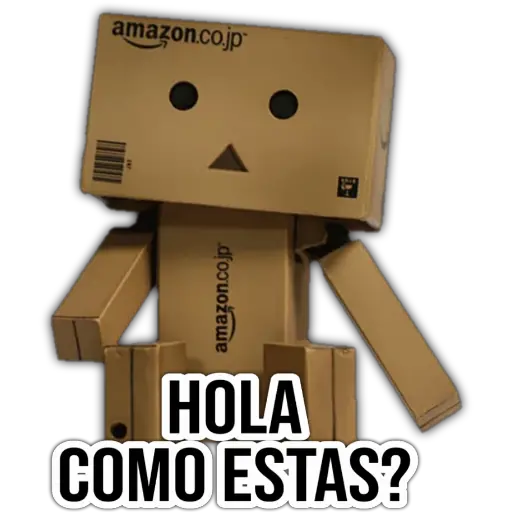 Cajita Amazon 