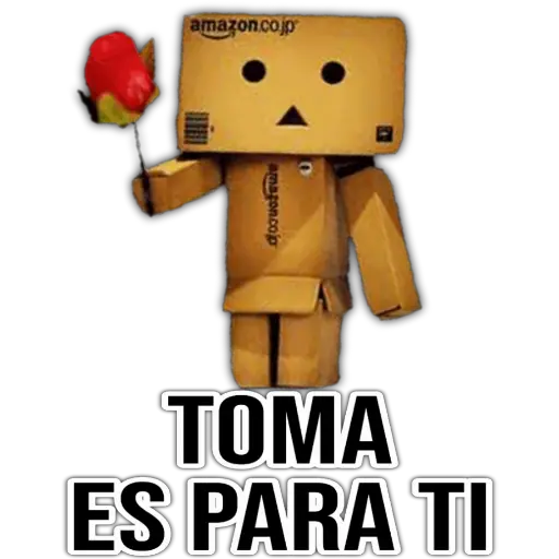 Cajita Amazon 