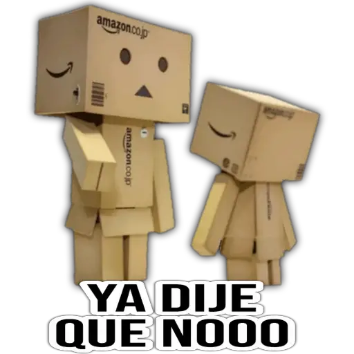 Cajita Amazon 