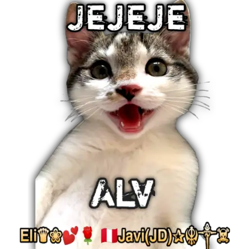 Cats Reactions 🐈 