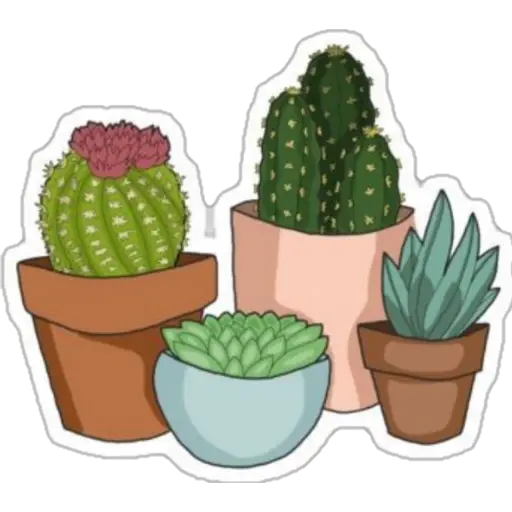 Chicas✨🌺 