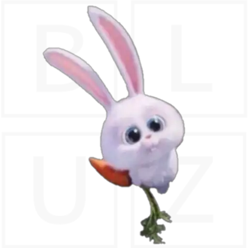 Conejo Snowball 
