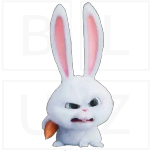 Conejo Snowball 