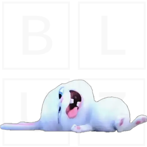 Conejo Snowball 