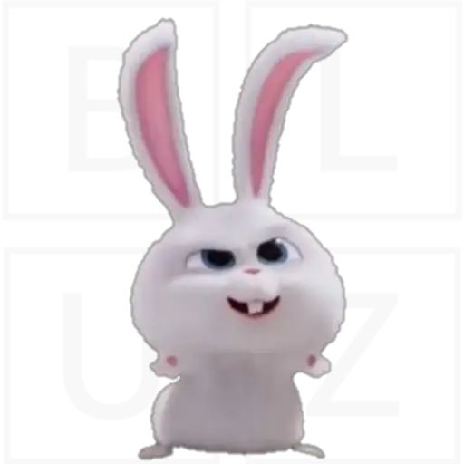 Conejo Snowball 