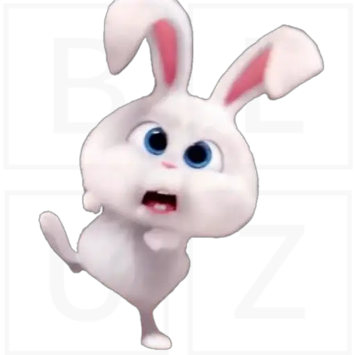 Conejo Snowball 