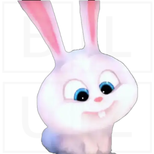 Conejo Snowball 
