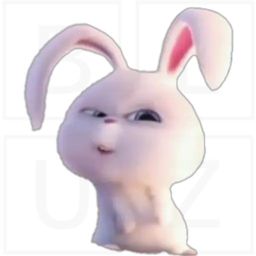 Conejo Snowball 