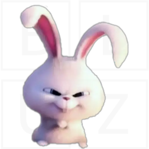Conejo Snowball 