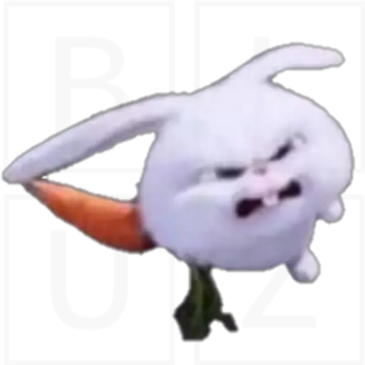 Conejo Snowball 