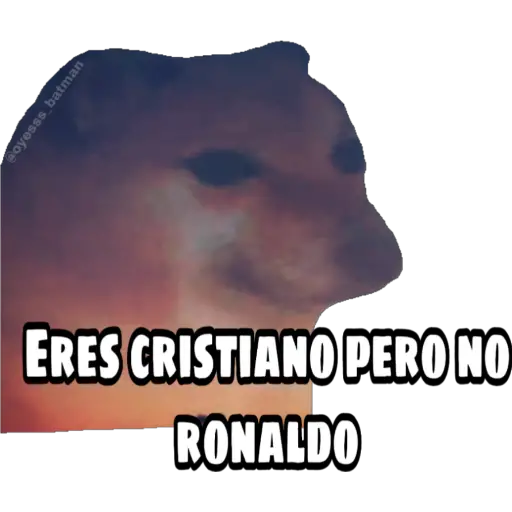 En fin la hipocresía 