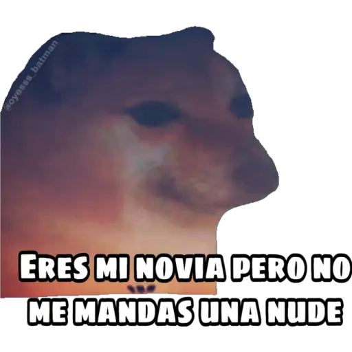 En fin la hipocresía 