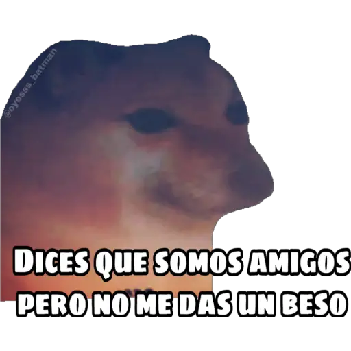 En fin la hipocresía 