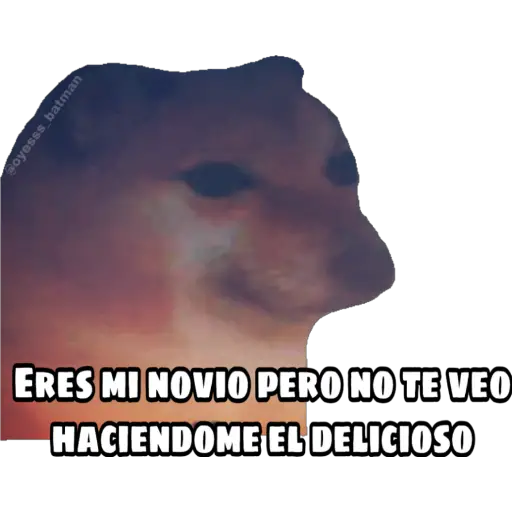 En fin la hipocresía 