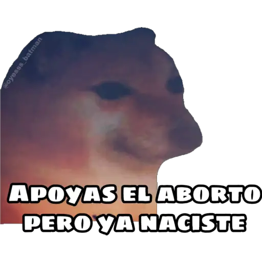 En fin la hipocresía 